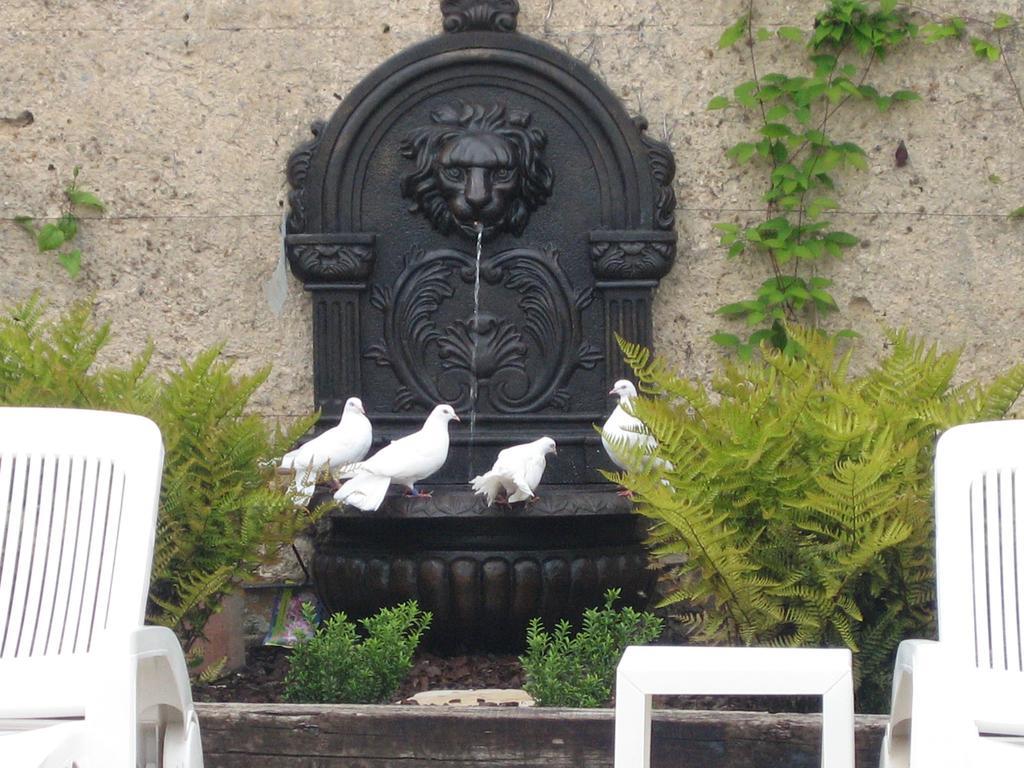 Château Du Golf De La Freslonnière Bed & Breakfast